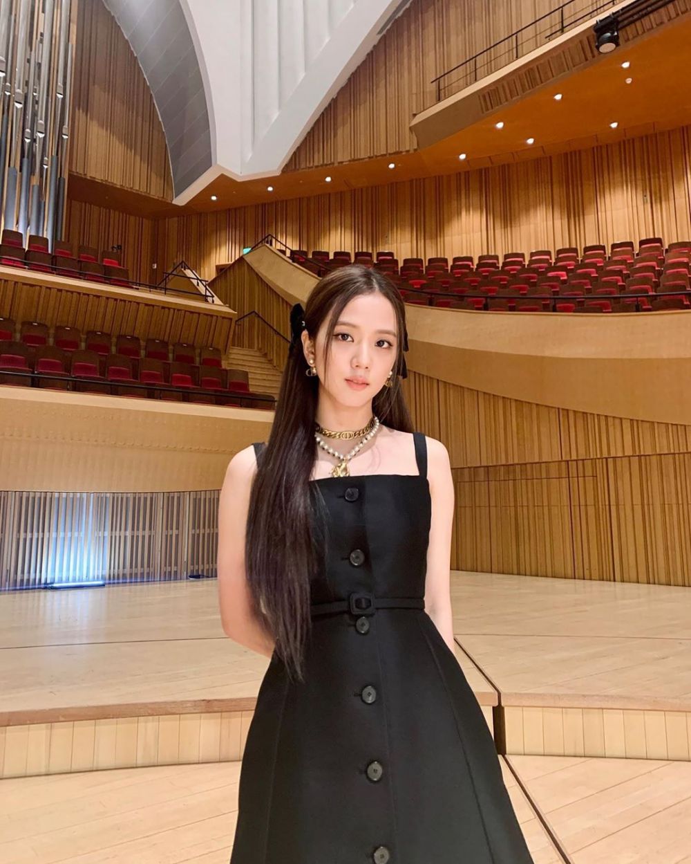 Perjalanan Karier Jisoo (Kim Jisoo)